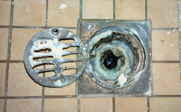 https://blockeddrainsdarch.com.au/uploads/2025/07/blocked-shower-drains-33151.jpg