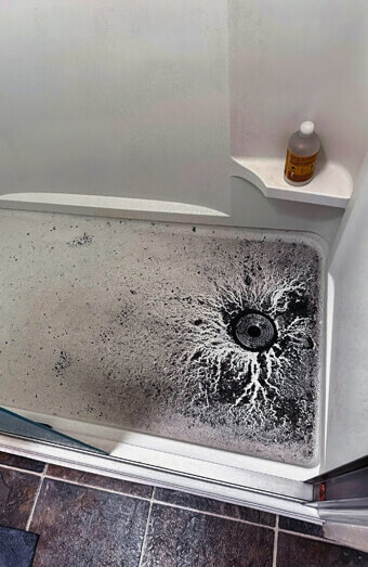 https://blockeddrainsdarch.com.au/uploads/2025/07/blocked-shower-drains-83587.jpg
