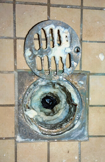 https://blockeddrainsdarch.com.au/uploads/2025/07/blocked-shower-drains-86331.jpg