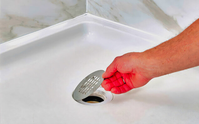 https://blockeddrainsdarch.com.au/uploads/2025/07/blocked-shower-drains-90992.jpg