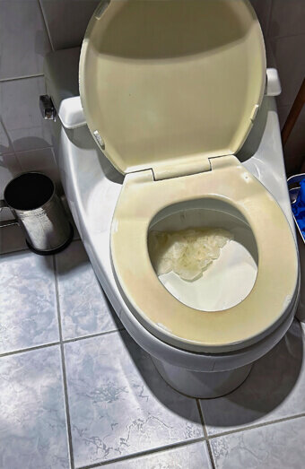 https://blockeddrainsdarch.com.au/uploads/2025/07/blocked-toilet-27293.jpg