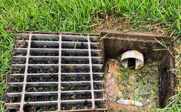 https://blockeddrainsdarch.com.au/uploads/2025/07/hero-blocked-sewers-40191.jpg