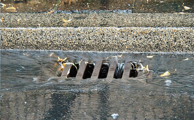 https://blockeddrainsdarch.com.au/uploads/2025/07/stormwater-drains-54996.jpg